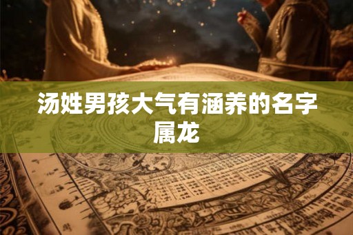 汤姓男孩大气有涵养的名字属龙