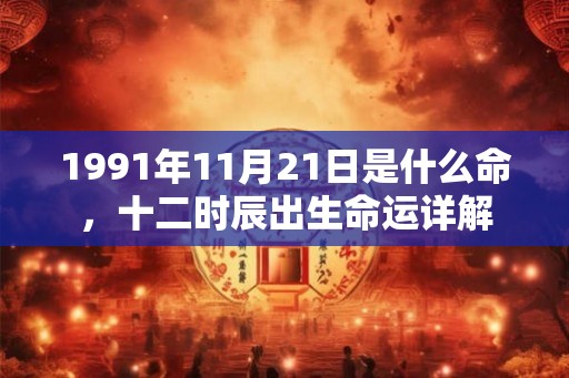 1991年11月21日是什么命，十二时辰出生命运详解