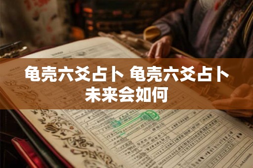 龟壳六爻占卜 龟壳六爻占卜未来会如何 龟壳六爻占卜 龟壳六爻占卜未来会如何