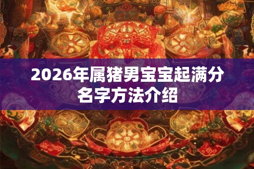 2026年属猪男宝宝起满分名字方法介绍