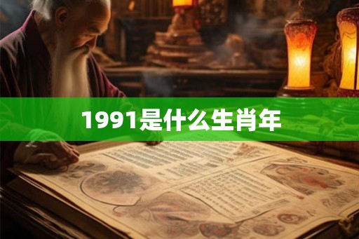 1991是什么生肖年