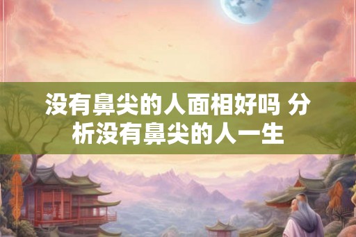 没有鼻尖的人面相好吗 分析没有鼻尖的人一生
