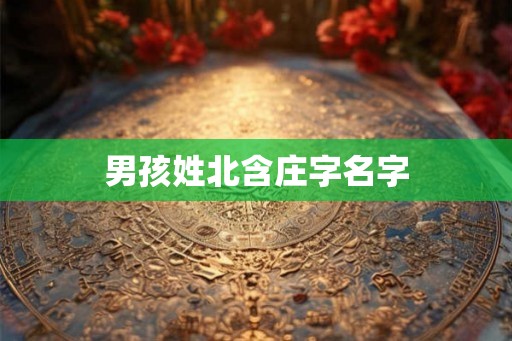 男孩姓北含庄字名字