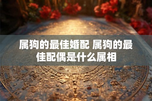 属狗的最佳婚配 属狗的最佳配偶是什么属相