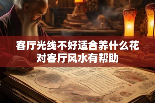 客厅光线不好适合养什么花对客厅风水有帮助