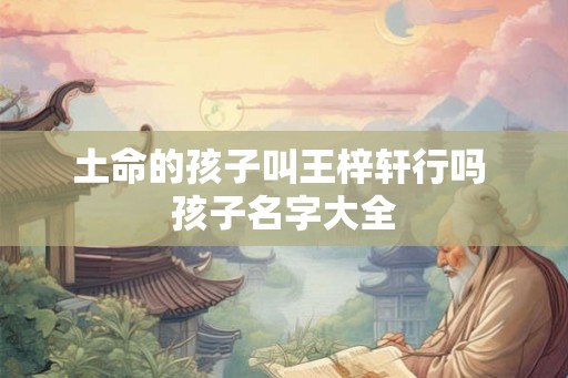 土命的孩子叫王梓轩行吗 孩子名字大全
