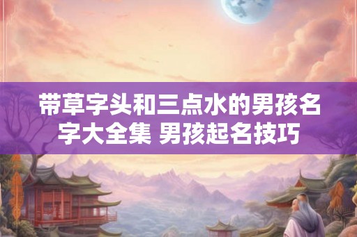 带草字头和三点水的男孩名字大全集 男孩起名技巧
