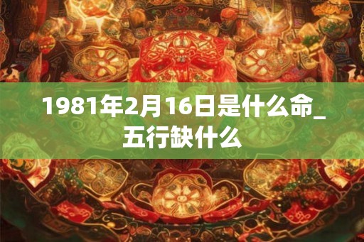 1981年2月16日是什么命_五行缺什么