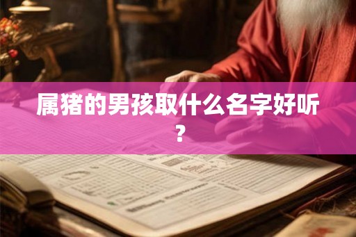 属猪的男孩取什么名字好听？