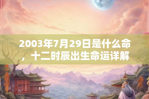 2003年7月29日是什么命，十二时辰出生命运详解