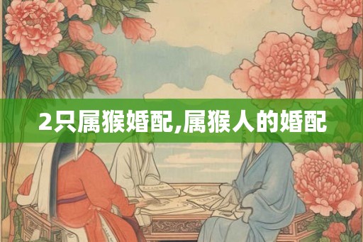 2只属猴婚配,属猴人的婚配