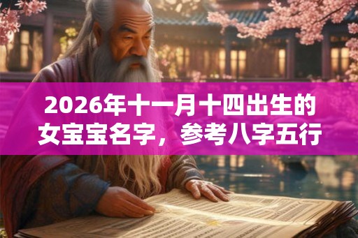 2026年十一月十四出生的女宝宝名字，参考八字五行取名