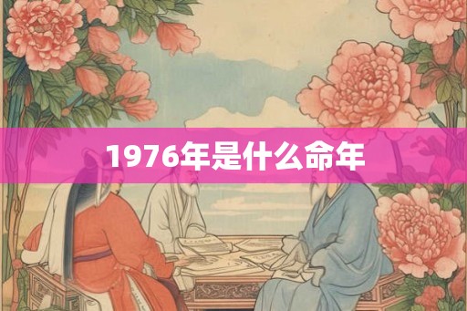 1976年是什么命年