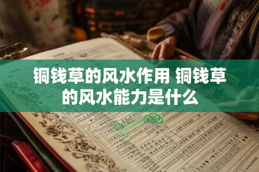 铜钱草的风水作用 铜钱草的风水能力是什么