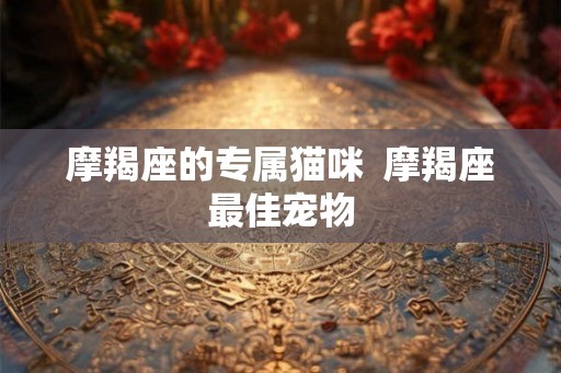 摩羯座的专属猫咪  摩羯座最佳宠物