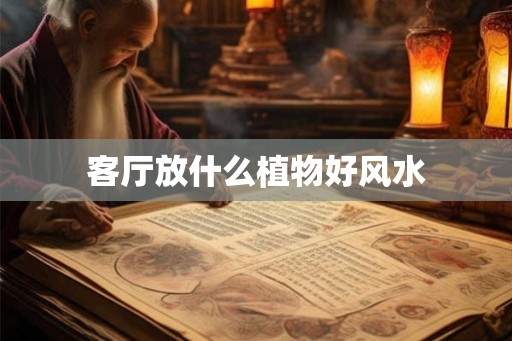 客厅放什么植物好风水 客厅放什么植物好风水
