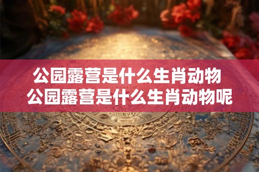 公园露营是什么生肖动物 公园露营是什么生肖动物呢