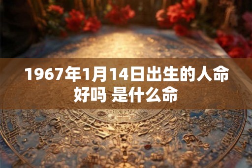 1967年1月14日出生的人命好吗 是什么命