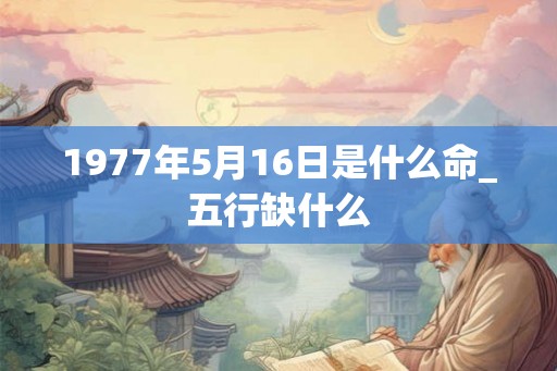 1977年5月16日是什么命_五行缺什么