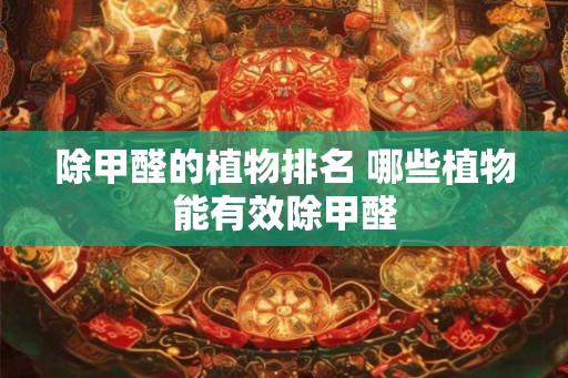 除甲醛的植物排名 哪些植物能有效除甲醛 除甲醛的植物排名 哪些植物能有效除甲醛