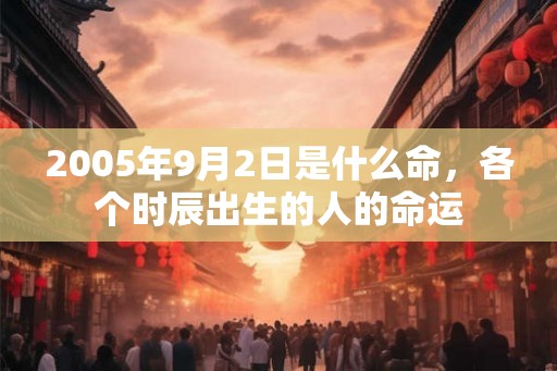 2005年9月2日是什么命，各个时辰出生的人的命运