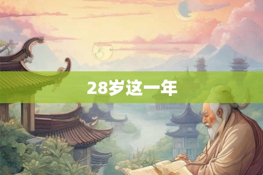 28岁这一年