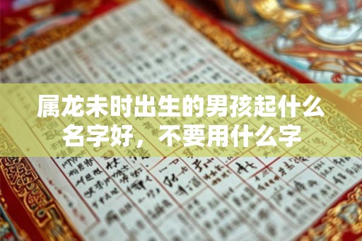 属龙未时出生的男孩起什么名字好，不要用什么字