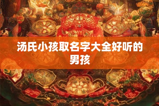 汤氏小孩取名字大全好听的男孩