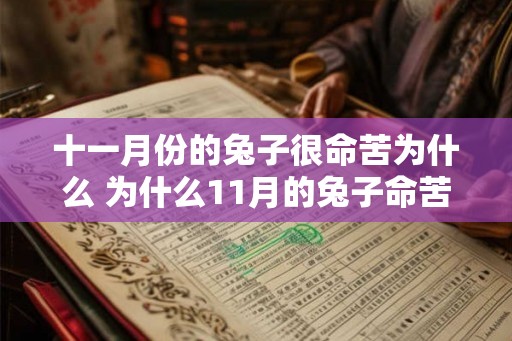 十一月份的兔子很命苦为什么 为什么11月的兔子命苦 十一月份的兔子很命苦为什么 为什么11月的兔子命苦