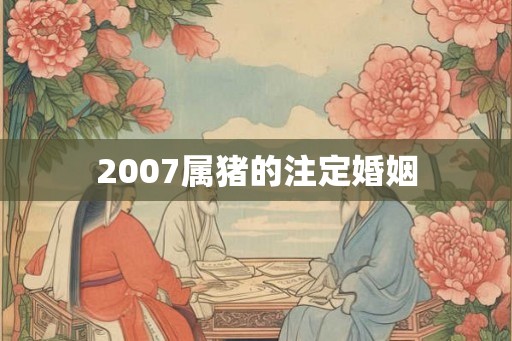 2007属猪的注定婚姻