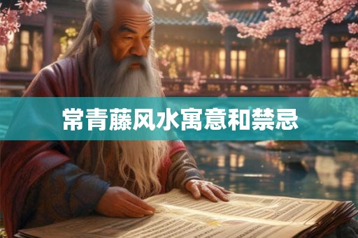 常青藤风水寓意和禁忌