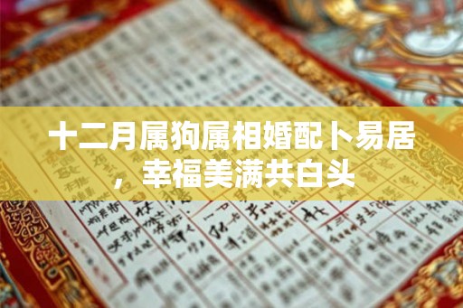 十二月属狗属相婚配卜易居，幸福美满共白头