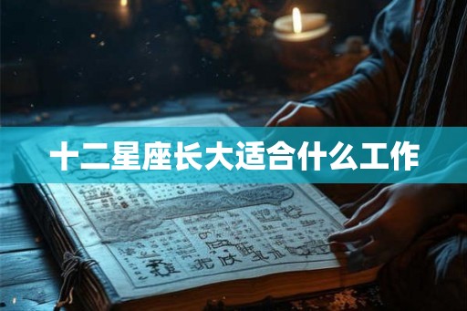 十二星座长大适合什么工作