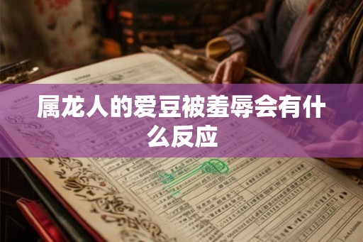 属龙人的爱豆被羞辱会有什么反应