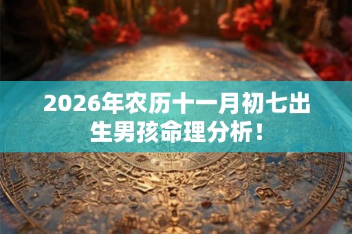 2026年农历十一月初七出生男孩命理分析！