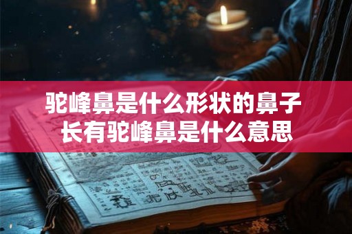 驼峰鼻是什么形状的鼻子 长有驼峰鼻是什么意思