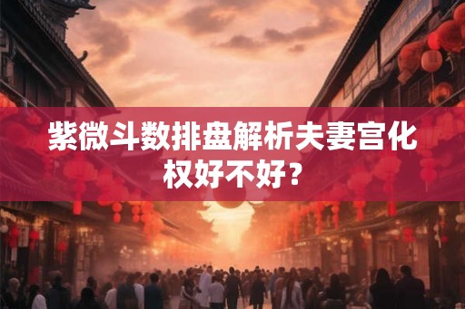 紫微斗数排盘解析夫妻宫化权好不好？