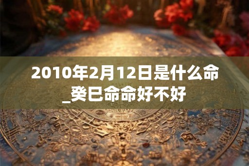 2010年2月12日是什么命_癸巳命命好不好