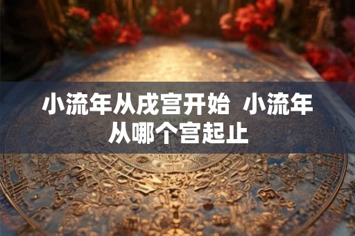 小流年从戌宫开始 小流年从哪个宫起止 小流年从戌宫开始 小流年从哪个宫起止