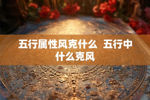 五行属性风克什么  五行中什么克风