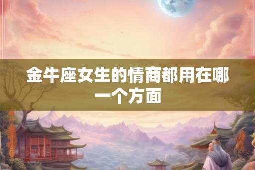 金牛座女生的情商都用在哪一个方面