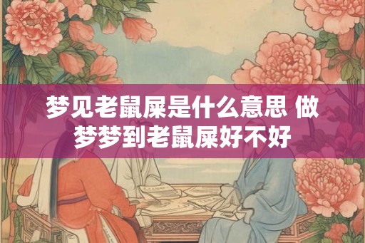 梦见老鼠屎是什么意思 做梦梦到老鼠屎好不好