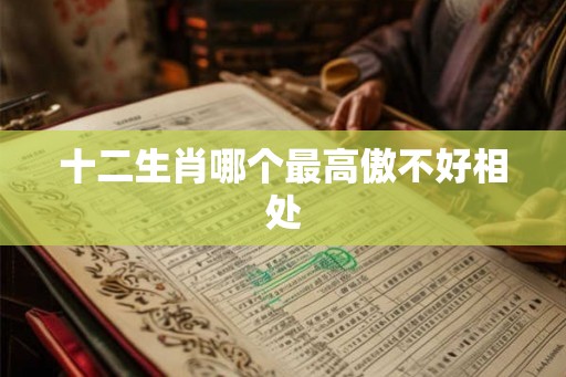 十二生肖哪个最高傲不好相处