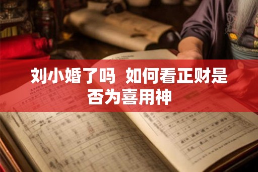 刘小婚了吗  如何看正财是否为喜用神