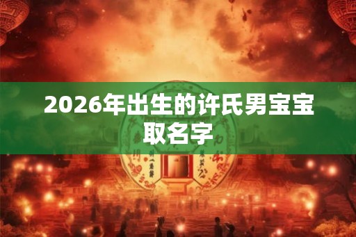 2026年出生的许氏男宝宝取名字 2026年出生的许氏男宝宝取名字