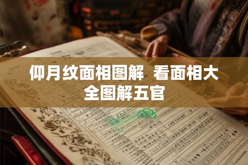 仰月纹面相图解  看面相大全图解五官