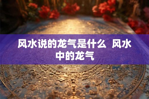 风水说的龙气是什么  风水中的龙气