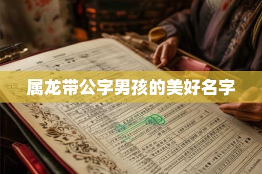 属龙带公字男孩的美好名字