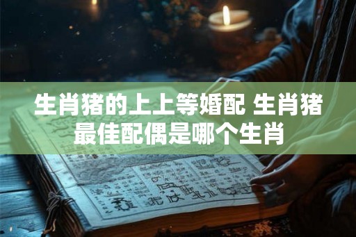 生肖猪的上上等婚配 生肖猪最佳配偶是哪个生肖 生肖猪的上上等婚配 生肖猪最佳配偶是哪个生肖