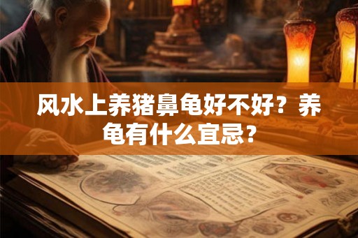 风水上养猪鼻龟好不好?养龟有什么宜忌? 风水上养猪鼻龟好不好?养龟有什么宜忌?